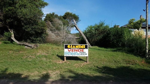 Imagen 1 de 8 de Terreno En Venta En Las Gaviotas