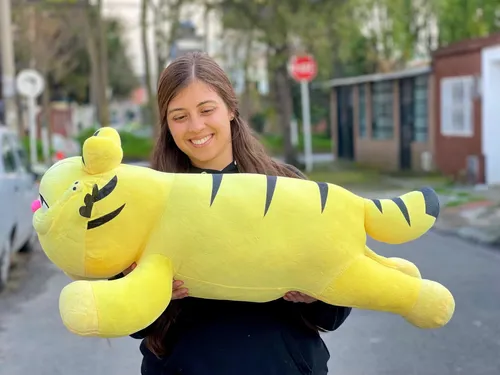 Peluche Garfield Grande 80cm Acostado + 3 Globos + Moño