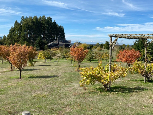Imagen 29 de 30 de Campo Con Casa Talingotinto 10,5ha R. De Los Ríos