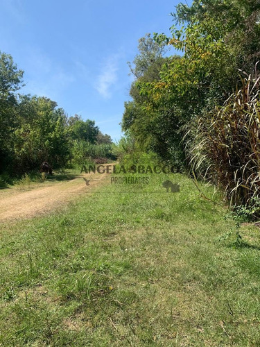 Imagen 7 de 24 de Terreno En Open Door
