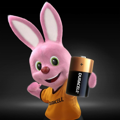 Pila Alcalina Duracell D Grande X 2u En Blister
