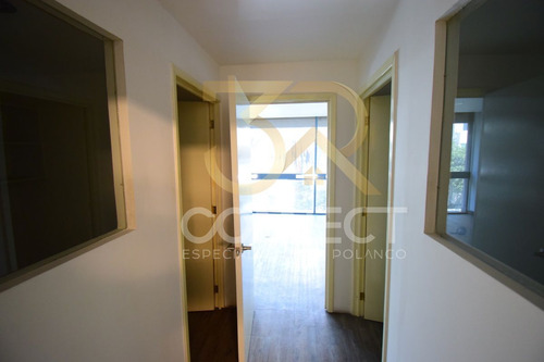 Oficina En Renta En Polanco 4c/1b/1e - Excelente Ubicación - 90m2