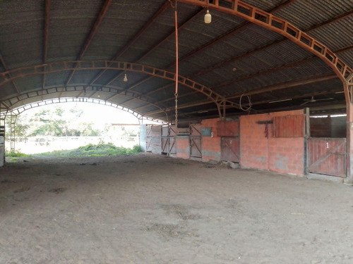 Campo En Venta - Chaco, Dpto Bermejo, Estancia Mongay, 5.700 Ha.