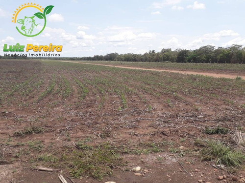 Imagem 1 de 13 de Fazenda À Venda Em Peixe - To - De 185 Alqueirões (dupla Aptidão) - 1727
