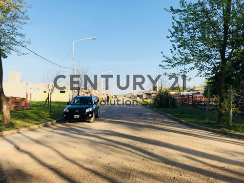 Imagen 6 de 12 de Vendo Terreno - Barrio Las Moras - Lote Irregular 542m² - Ricardone