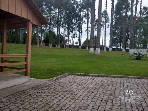 Imagem 20 de 29 de Chácara À Venda, 96800 M² Por R$ 2.300.000,00 - Contenda - São José Dos Pinhais/pr - Ch0053