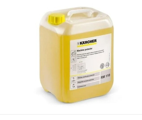 Detergente Protector Rm110 Karcher - Asvetec