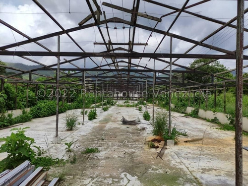 Imagen 24 de 27 de Finca En Venta En Bejuma