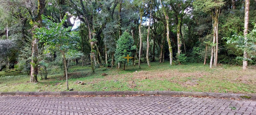 Imagem 1 de 16 de Terreno A Venda - 1087