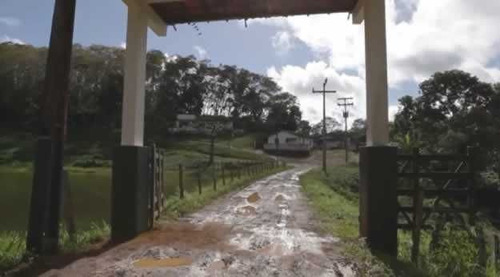 Imagem 5 de 30 de Fazenda De Cacau, Látex E Mogno No Brasil - Cidade Ituberá-ba - 7654