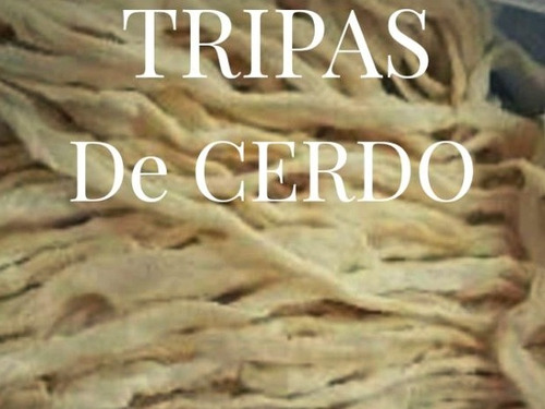 Elabore Sus Propios Chorizos En Casa Compre Tripa De Cerdo