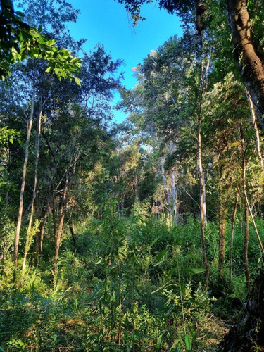 Se Vende Linda Parcela Con Ribera Del Río Maullín