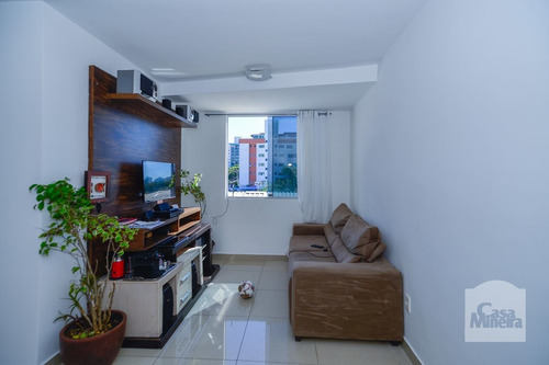 Imagem 1 de 15 de Apartamento À Venda No Castelo - Código 316041 - 316041