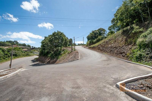 Imagem 1 de 6 de Terreno À Venda, 345 M² Por R$ 150.000,00 - De Lazzer - Caxias Do Sul/rs - Te0105