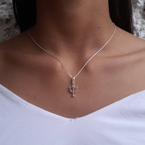 Colar Profissão Psicologia 50cm Banhado A Prata 925 Premium Cor Prateado