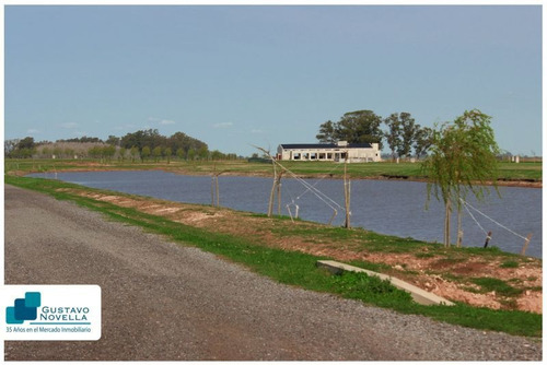 Lote Isla Central Las Mejores Costas En El Mirador