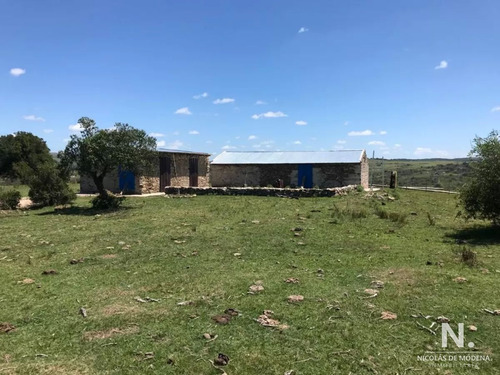 Imagen 6 de 28 de Se Vende Campo De 130 Has, En Maldonado