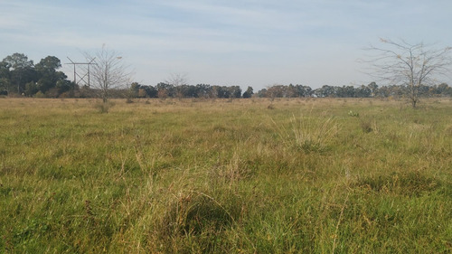 Imagen 6 de 11 de Campo Agroecológico 30 Has En Venta En El Peligro, Calle 420