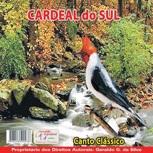 Cd Genuíno! Canto De Pássaros Cardeal Do Sul  Canto Clássico