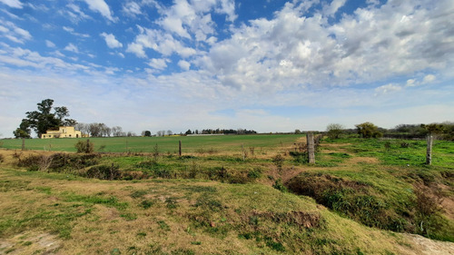 Campo De 24,5 Hectareas En San Nicolas De Los Arroyos