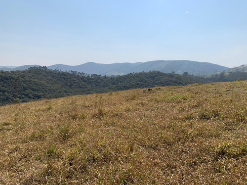 Imagem 2 de 14 de 54ne- Terreno 1000m2 R$40.000 Mil -localização Na Descrição