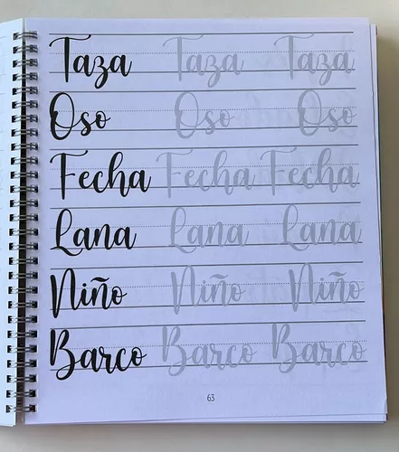 Libro Lettering Todo Para Aprender Y Descubrir Tu Propio Estilo Proarte