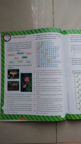 Ciencias Naturales 4 Bonaerense - Santillana En Movimiento (Usado)