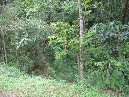 Imagem 12 de 12 de Lotes Em Condomínio Para Comprar No Green Park Em Nova Lima/mg - 2285
