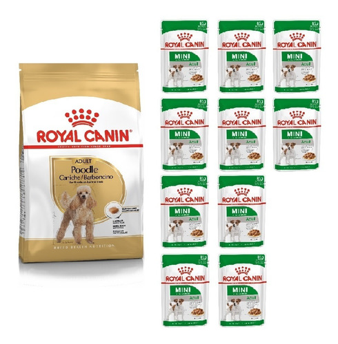 Kit Ração Poodle Adult 2,5kg E 10 Sachês Mini Royal Canin