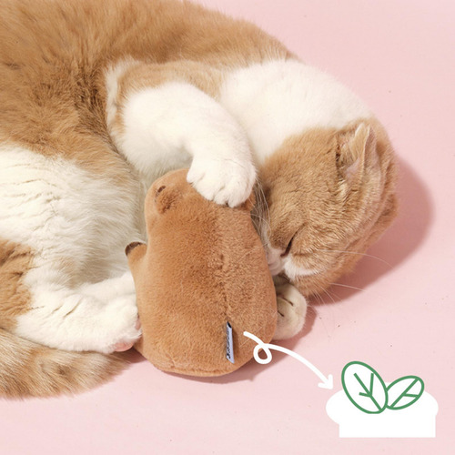 De Pelúcia, Brinquedos De Catnip Para Gatos, Engraçados,