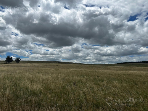 Campo En Venta - Rocha