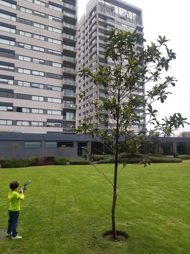Imagen 18 de 21 de Departamento En Venta O Renta En Maranta Bosques, Cdmx
