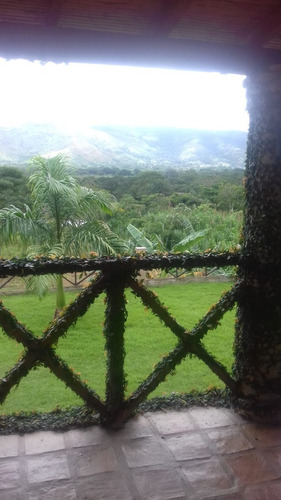 Imagen 10 de 18 de Se Vende Finca 114 Hectáreas Carabobo Bejuma. Cod. 4616212