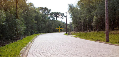 Imagem 7 de 16 de Terrenos Em Canela - Serra Gaúcha - 1079