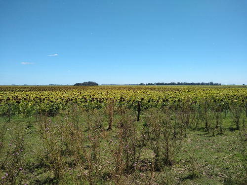 Latorre Prop Vende Campo De 34 Hectareas En Cobo