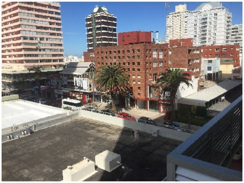 Apartamento En Peninsula, 1 Dormitorios *- Ref: 2974