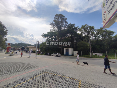 Imagem 9 de 13 de Ótimo Terreno Comercial /residencial No Bairro Velha Central - 3052462v
