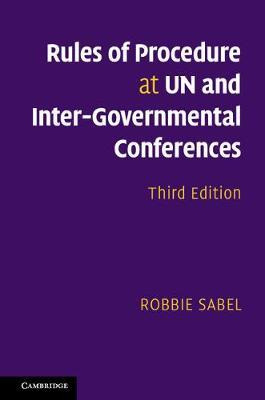 Rules Of Procedure At The Un And At Inter-governmental Co...