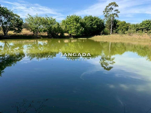 Chacara Com Area De De 36.000m2 Em Zona Rural Km 154 Castelo Branco - 11986
