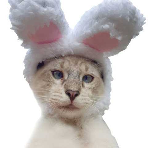 Orejas De Conejo Para Mascota / Gorro Para Gato O Perro