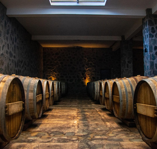 Vino Finca Los Dragones Partida Unica Malbec Barreal San Jua