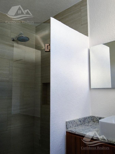 Imagen 19 de 21 de Casa En Venta En Playa Del Carmen Valenia Syr2257