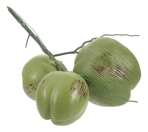 Corona De Coco Artificial Con Fruta Simulada