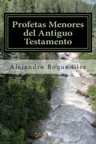 Profetas Menores Del Antiguo Testamento (spanish Edit, De Glez, Alejandro Roque. Editorial Createspace Independent Publishing Platform, Tapa Blanda En Español