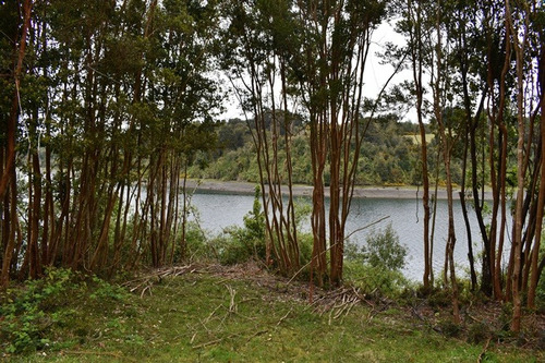 Hermoso Terreno De 0,1 Ha Con Orilla De Mar