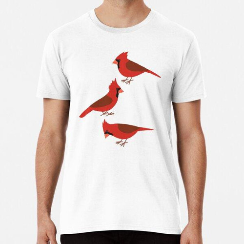 Remera Aves Divertidas Cardenal Rojo Algodon Premium