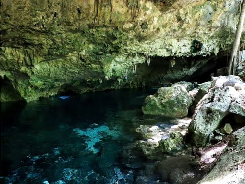 Terreno Tulum De 8.5 Hectáreas Cerca De Xel-ha Y De Varios Cenotes,