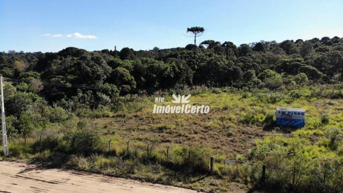 Imagem 11 de 21 de Área À Venda, 6500 M² Por R$ 3.575.000,00 - Cidade Industrial - Curitiba/pr - Ar0003