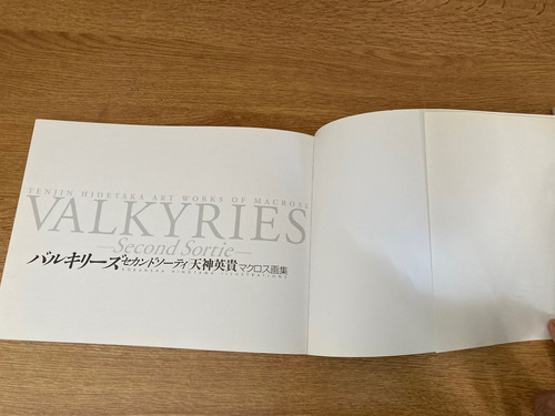 Tenjin Hidetaka Obras De Arte De Macross Valkyries(segundo)