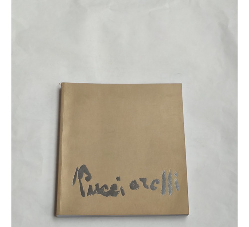 Libro De Arte Obras De Pucciarelli Mario Pucciarelli 